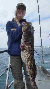 Whale Watching Depoe Bay 